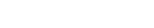 TechSoft